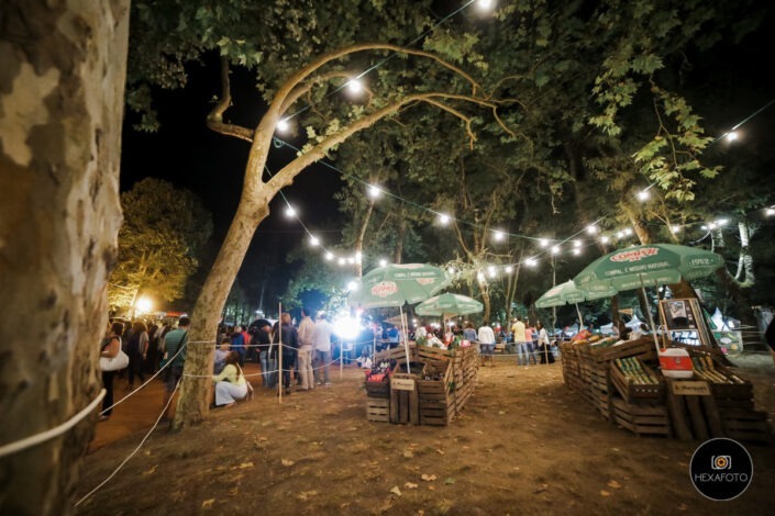 Feira dos Frutos 2016